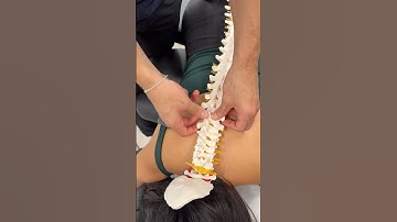 Helping you visualize the adjustment