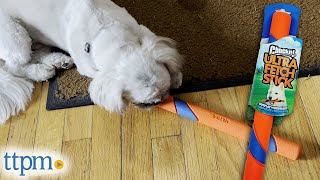 Chuck It! Ultra Fetch Stick by TTPM Pet Toys & Gear Reviews 1,112 views 1 year ago 2 minutes, 14 seconds