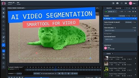Video segmentation with Supervisely SmartTool