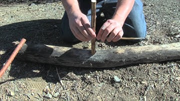 Splitstick Deadfall trap