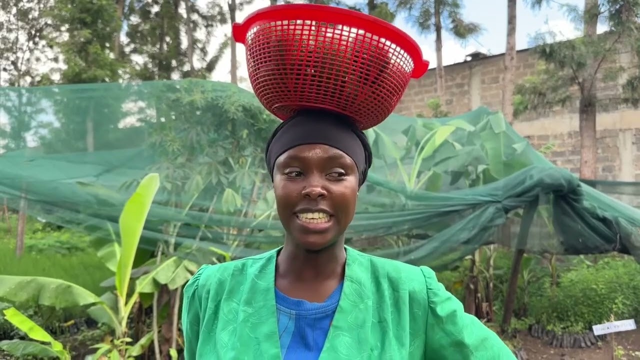 Bye bye struggles, Halloo soft life 😁