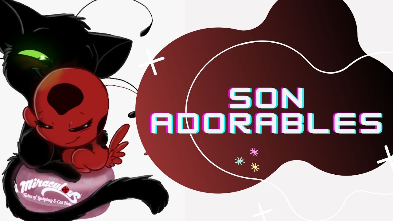 CADA KWAMI CON SU PORTADOR- especial Kwamis- Comics doblados al español Latino.