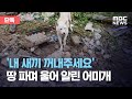 [단독] '내 새끼 꺼내주세요' 땅 파며 울어 알린 어미개 (2020.08.12/뉴스데스크/MBC)