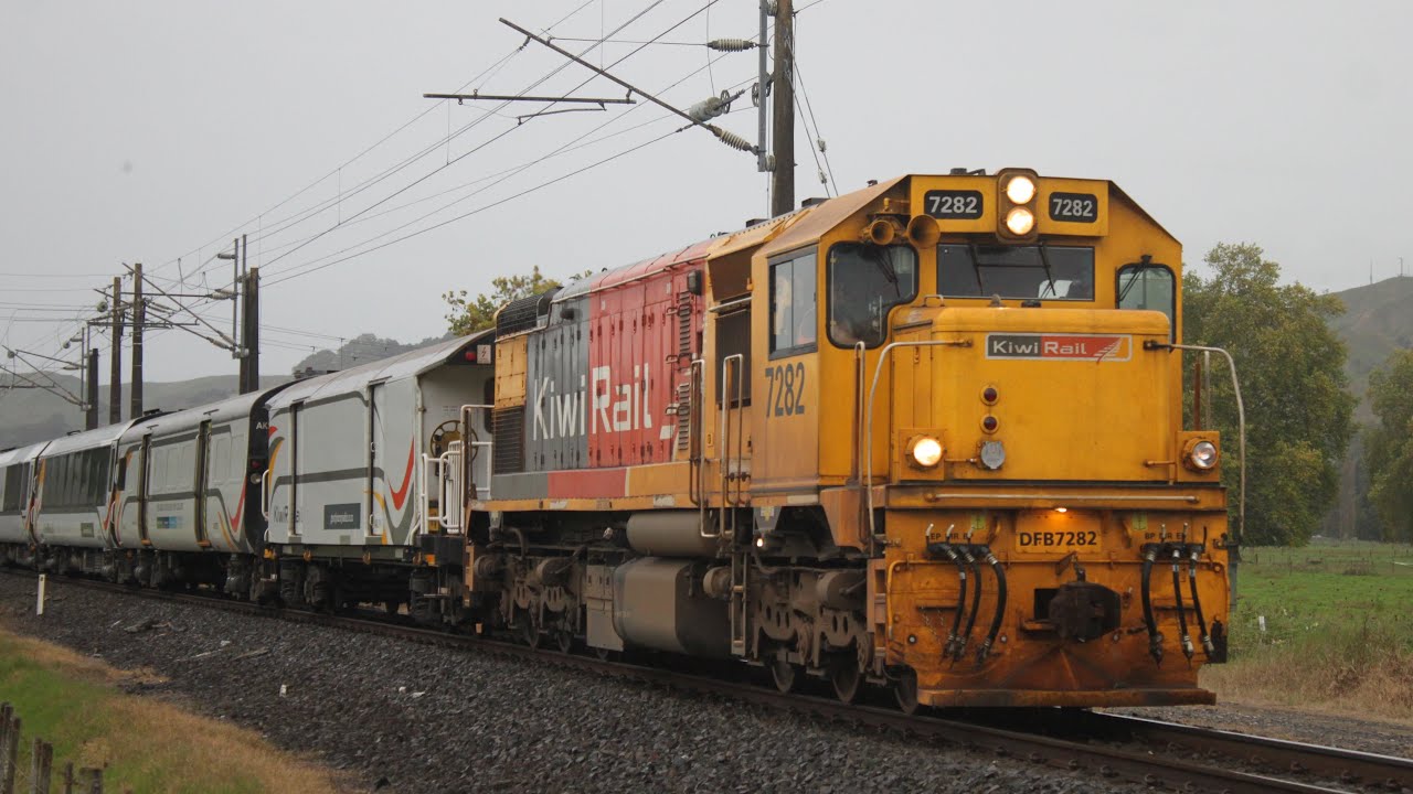 Chasing 200: Horopito - Pokeno