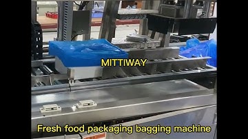 Fresh food packaging Poly bagging machine bag inserter bag maker inserting machine