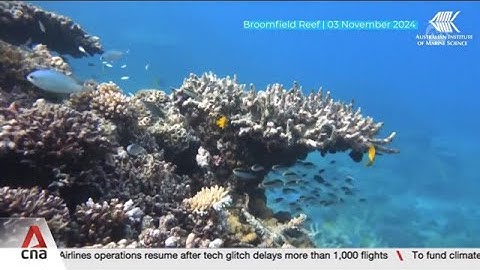 Climate crisis: Australia