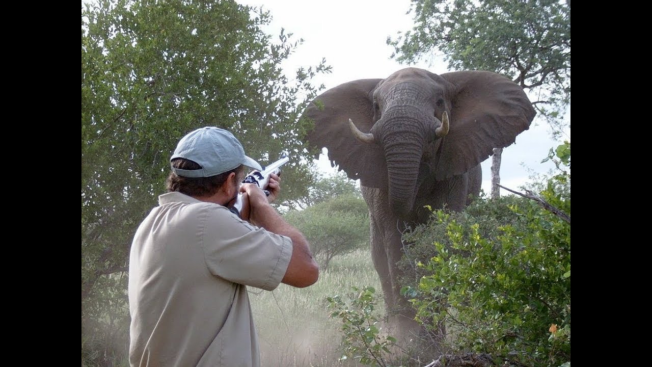 PRO HUNT AFRICA PROMO DVD 