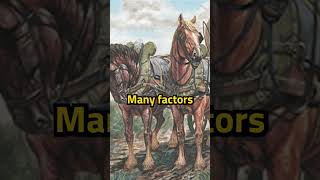 Strategi vs Taktik #sejarahpertempuran #sejarahperang #sejarah