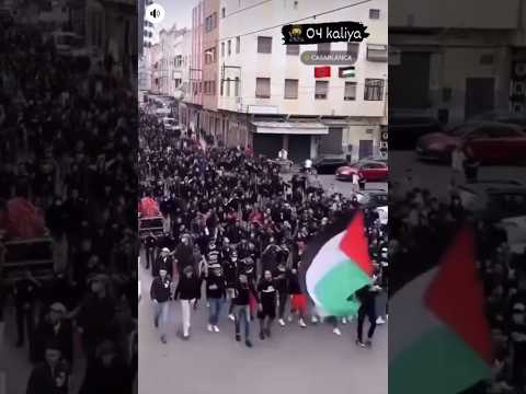 مسيرة بعلام فلسطين جمهور الوداد منطقة 04