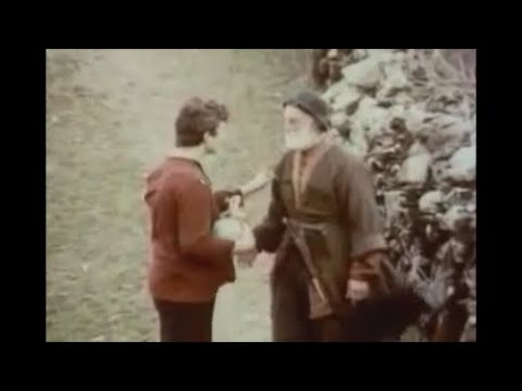 \"შერეკილები\" - ბიზნესგეგმა (sherekilebi)