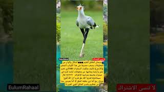 #سبحان_الله #معلومات #هل_تعلم #shorts #shots #reels #viral #vltrp #الجزائر #المغرب #اكسبلور