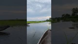 Imagine silently drifting through the waterways of the Linyanti marsh on a Mokoro #safari #wildlife