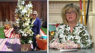 Barbara King 6-Piece Lily Pretty Woman Live Bulbs on QVC