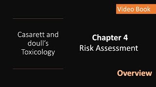 Famous C&D#C.4, High Level Overview, Chapter 4 - Risk Assessment Profile