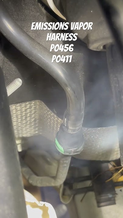 2012 Jeep Liberty P0456 Small EVAP Leak P0411 Purge Flow/Vapor Purge