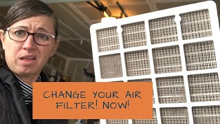 When and How to Replace Your IQ AIr Filter by Whole Home and Body Health 153 views 6 months ago 8 minutes, 12 seconds