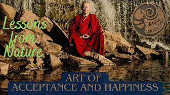 Art of Acceptance and Happiness | Lessons from Nature | Art of Living | Nature Connection thumbnail