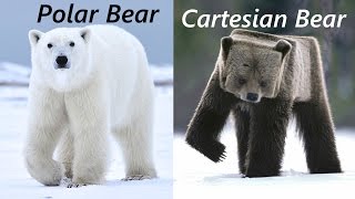 Polar Coordinates: Cartesian Connection