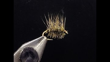 Fly Tying:  Griffith