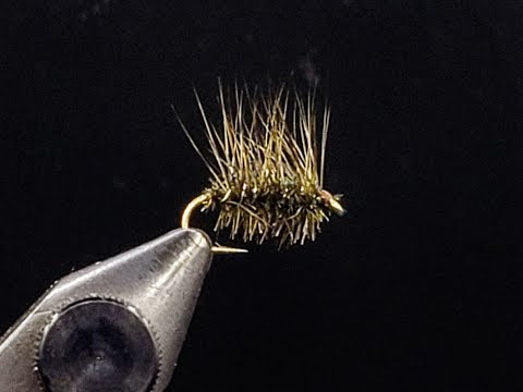 Griffith's Gnat video lesson thumbnail