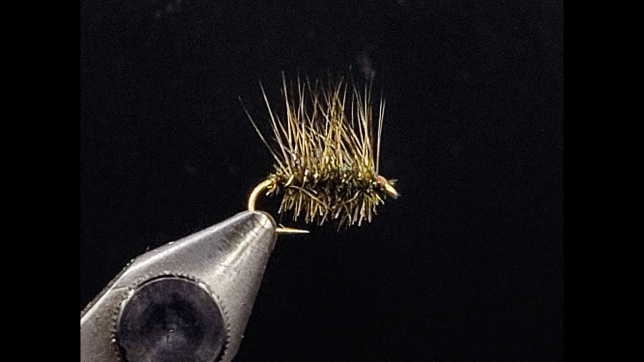 Fly Tying Griffith's Gnat YouTube