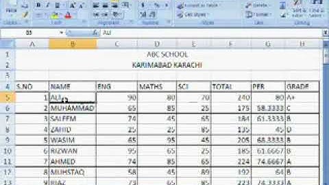 Free Learn Microsoft Excel 2007 Urdu Video Course Class 18 2