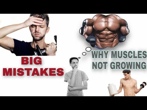 Why Your Muscles Are Not Growing - YouTube