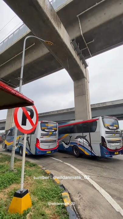 SUGENG RAHAYU BUS TO JAKARTA!?! #shorts #sugengrahayu #busmania #jawatimurbus #jawatimuranbus