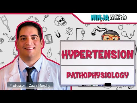 Pathophysiology and Diagnosis of Hypertension