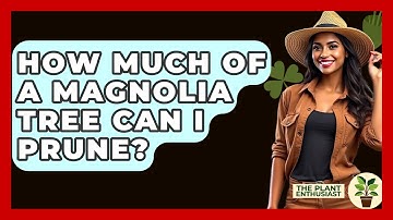 How Much Of A Magnolia Tree Can I Prune? - The Plant Enthusiast