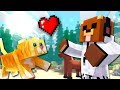 ESTE GATO ESTÁ MAMADISIMO | Minecraft #16