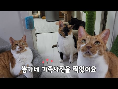 (+덕끼 <strong>꾹꾹이</strong>)