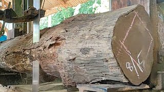 Old teak wood solid and beautiful grain! process of sawing frame beams in a sawmill