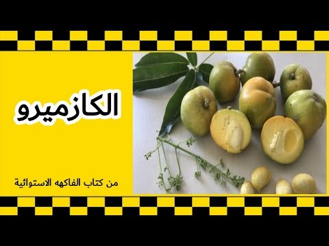 زراعة ورعاية الكازميرو