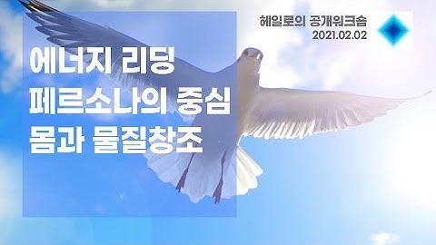 에너지 속 정보ㅣ페르소나ㅣ몸과 물질창조의 상관관계ㅣ헤일로의 공개워크숍_20201 02 02_질문답변