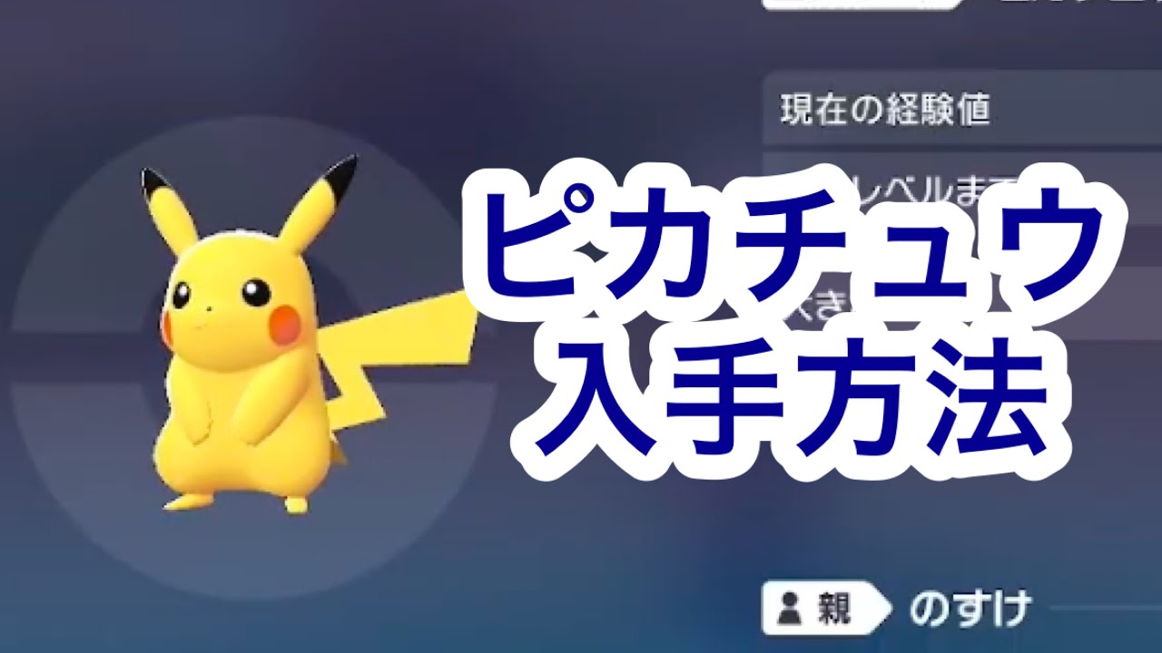 Pokemon ZA] How to get Pikachu - YouTube