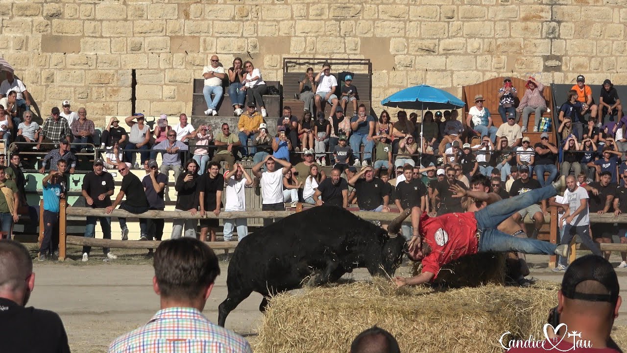 😱💥AIGUES MORTES EN FÊTE: La Fête Votive Vue du Ciel 🎉🐂