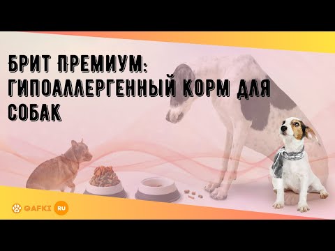 Брит Премиум: гипоаллергенный корм для собак