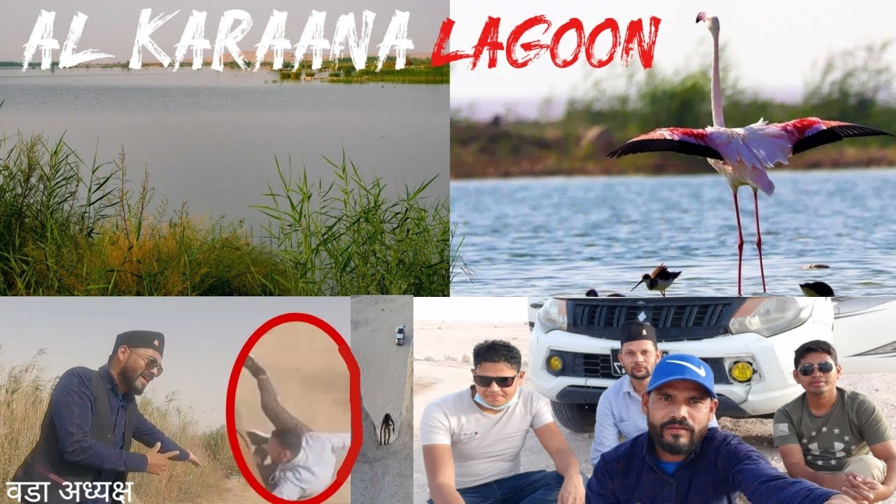 AL KARAANA LAGOON QATAR| BIRD WATCHING SPOTS| MUST VISIT PLACE IN QATAR