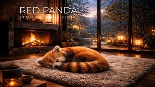 Red Panda Sleeping by Fireplace 🔥 8 Hours Cozy Rain Night Ambience for Deep Sleep screenshot 5