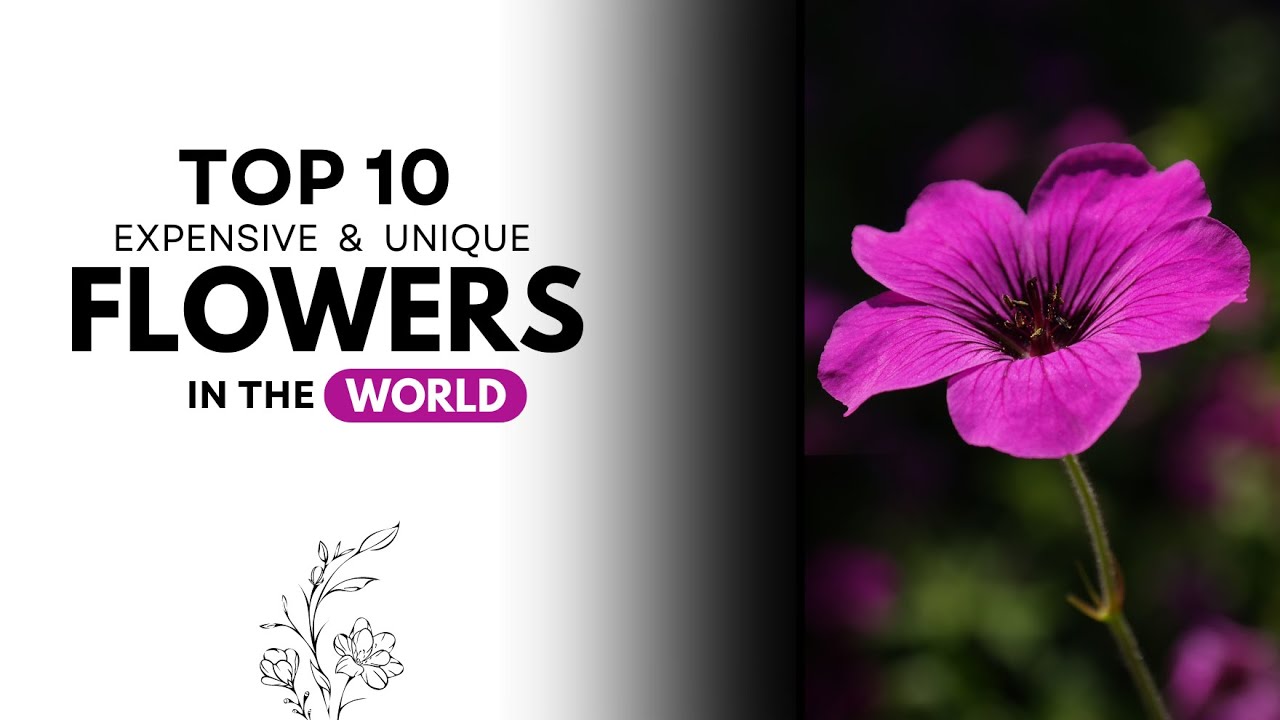Top 10 Most Stunning Flowers in the World You Must See - YouTube