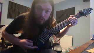 Periphery - Wildfire (partial guitar cover)