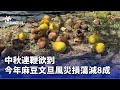 中秋節食品受災