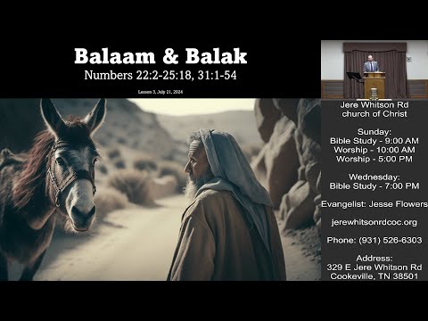 Video preview