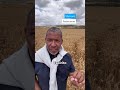 Shavuot ou Pentecostes? Será que entendemos o que realmente é importante?