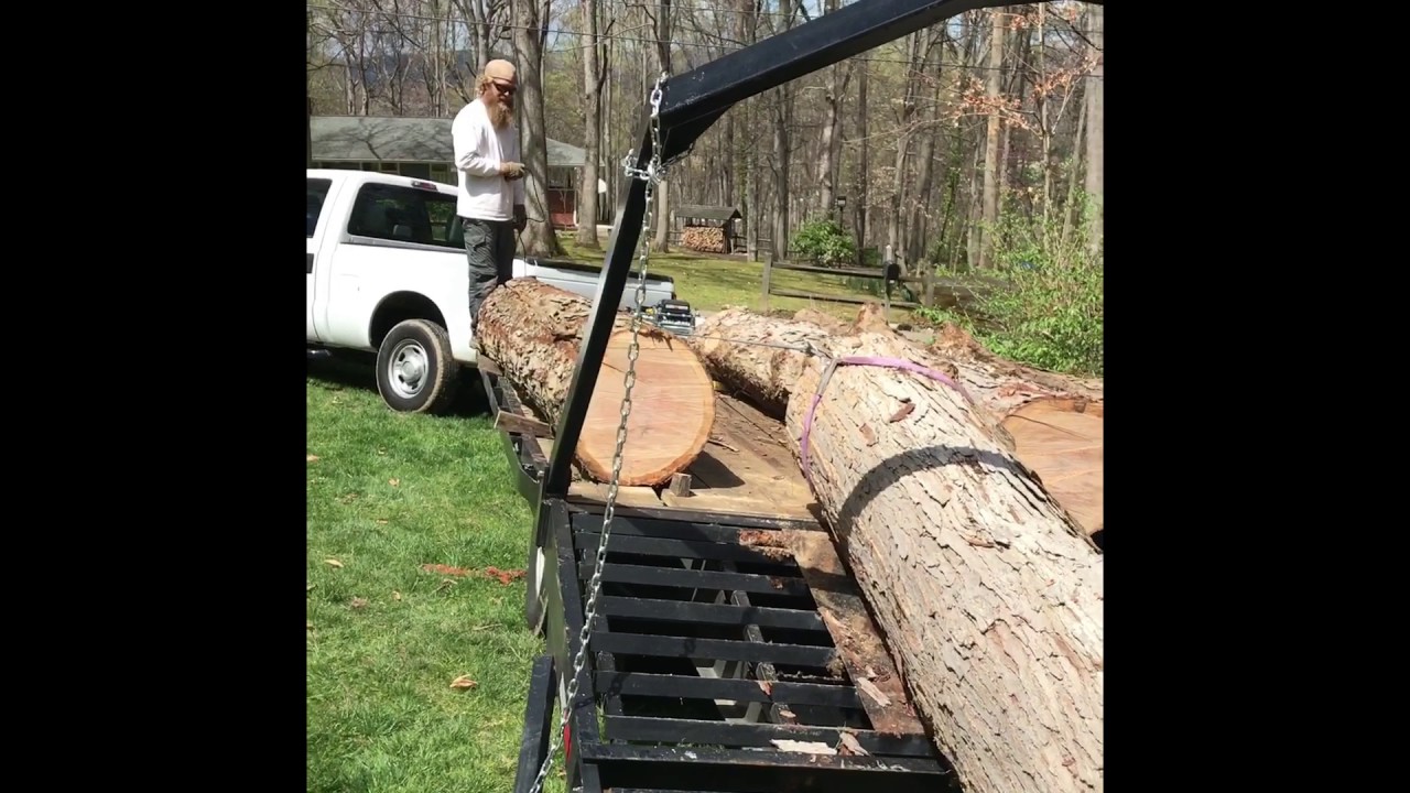 Loading Highly Valuable White Oak Log YouTube