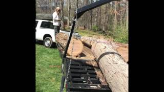 Loading Highly Valuable White Oak Log
