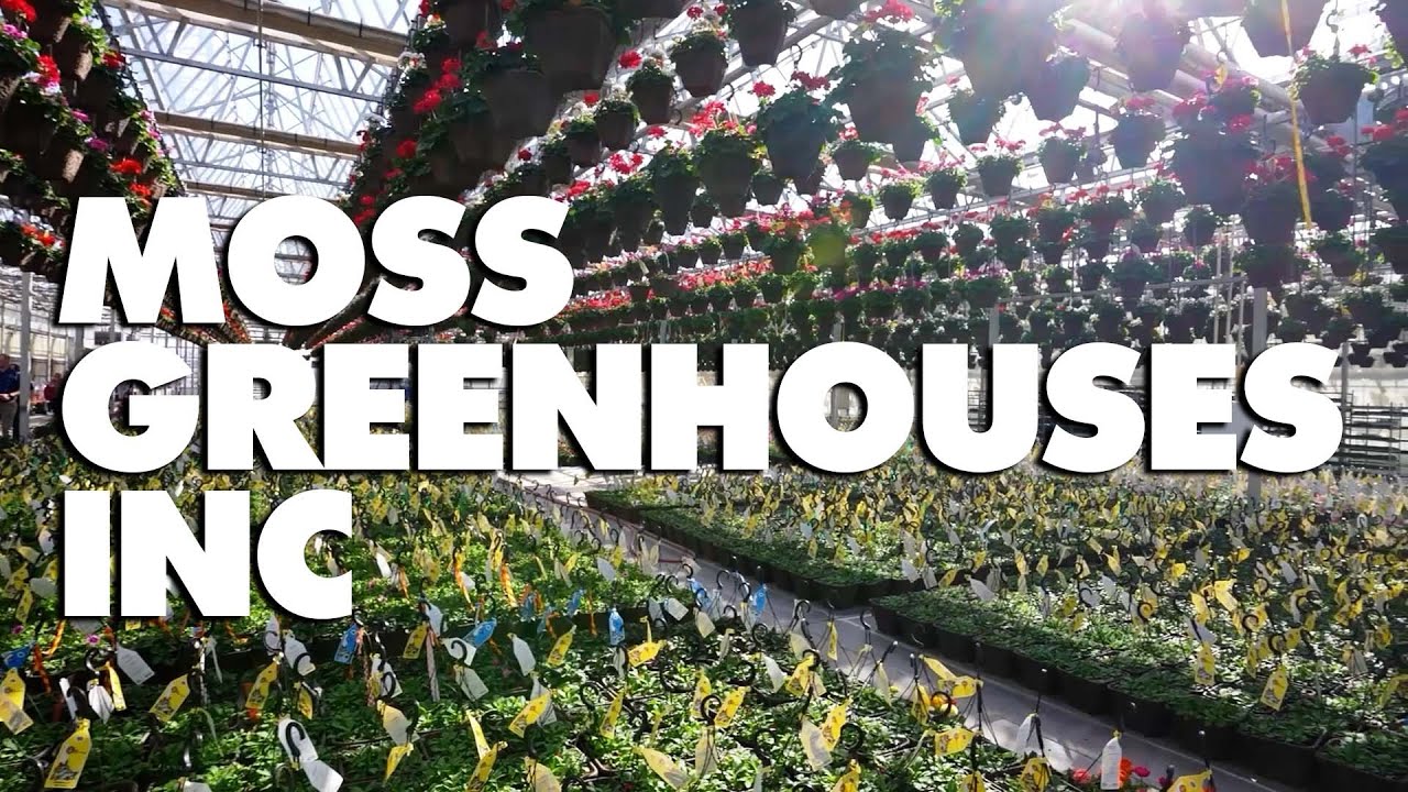 Moss Greenhouses Inc YouTube