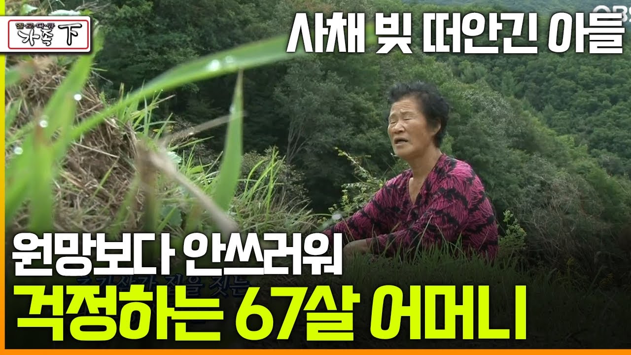 [멜로다큐 '가족' 245회 下] 사채 빚 떠안긴 아들 원망보다 안쓰러워 걱정하는 67살 어머니