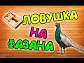 ЛОВУШКА НА ФАЗАНА ЗА 2 МИНУТЫ !!!